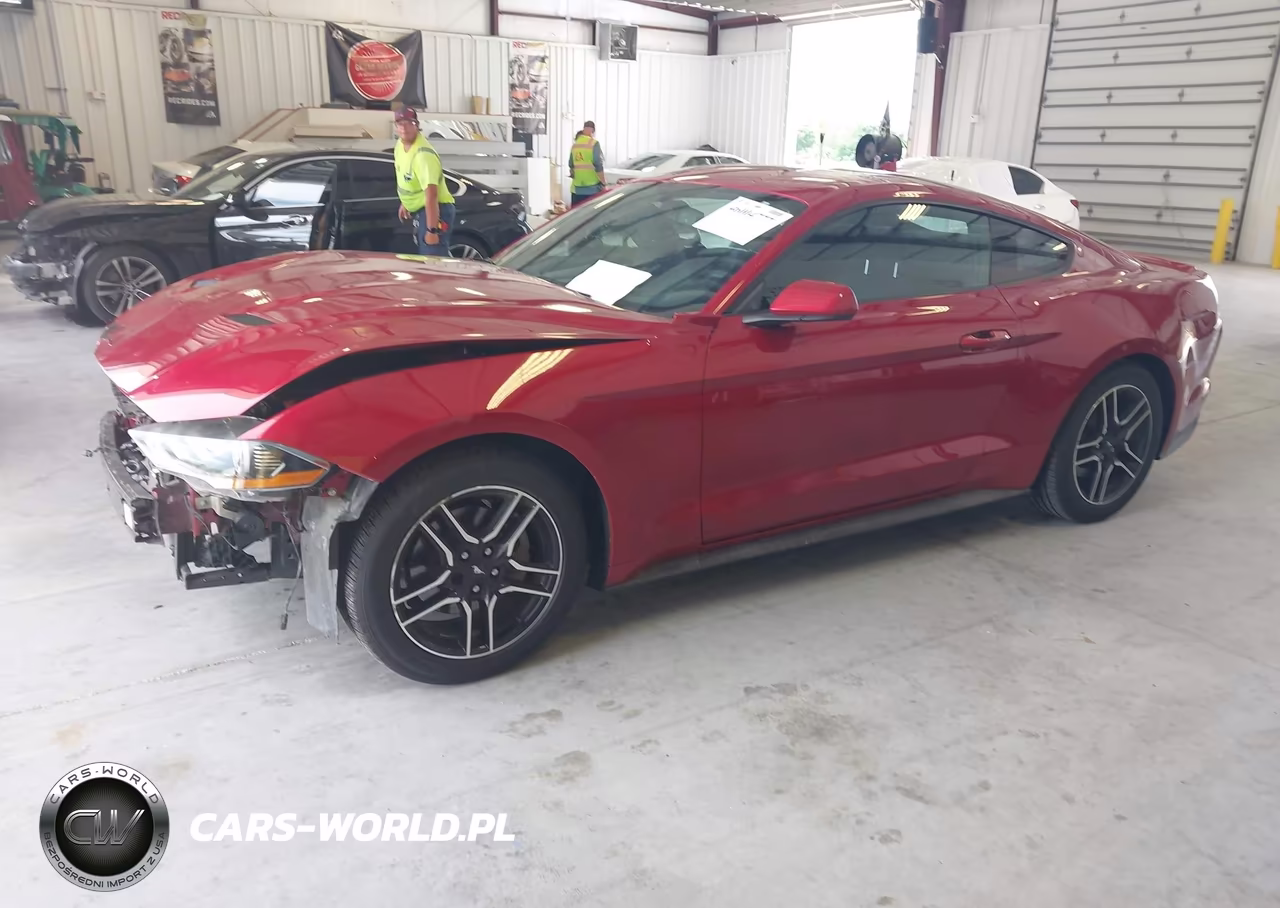 2020 Ford Mustang Ecoboost Fastback VIN:1FA6P8TH0L5166859 - 2