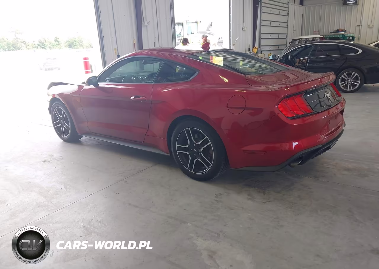2020 Ford Mustang Ecoboost Fastback VIN:1FA6P8TH0L5166859 - 3