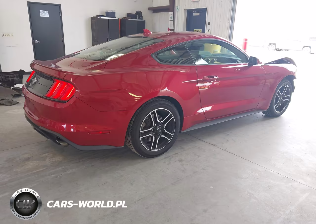 2020 Ford Mustang Ecoboost Fastback VIN:1FA6P8TH0L5166859 - 4