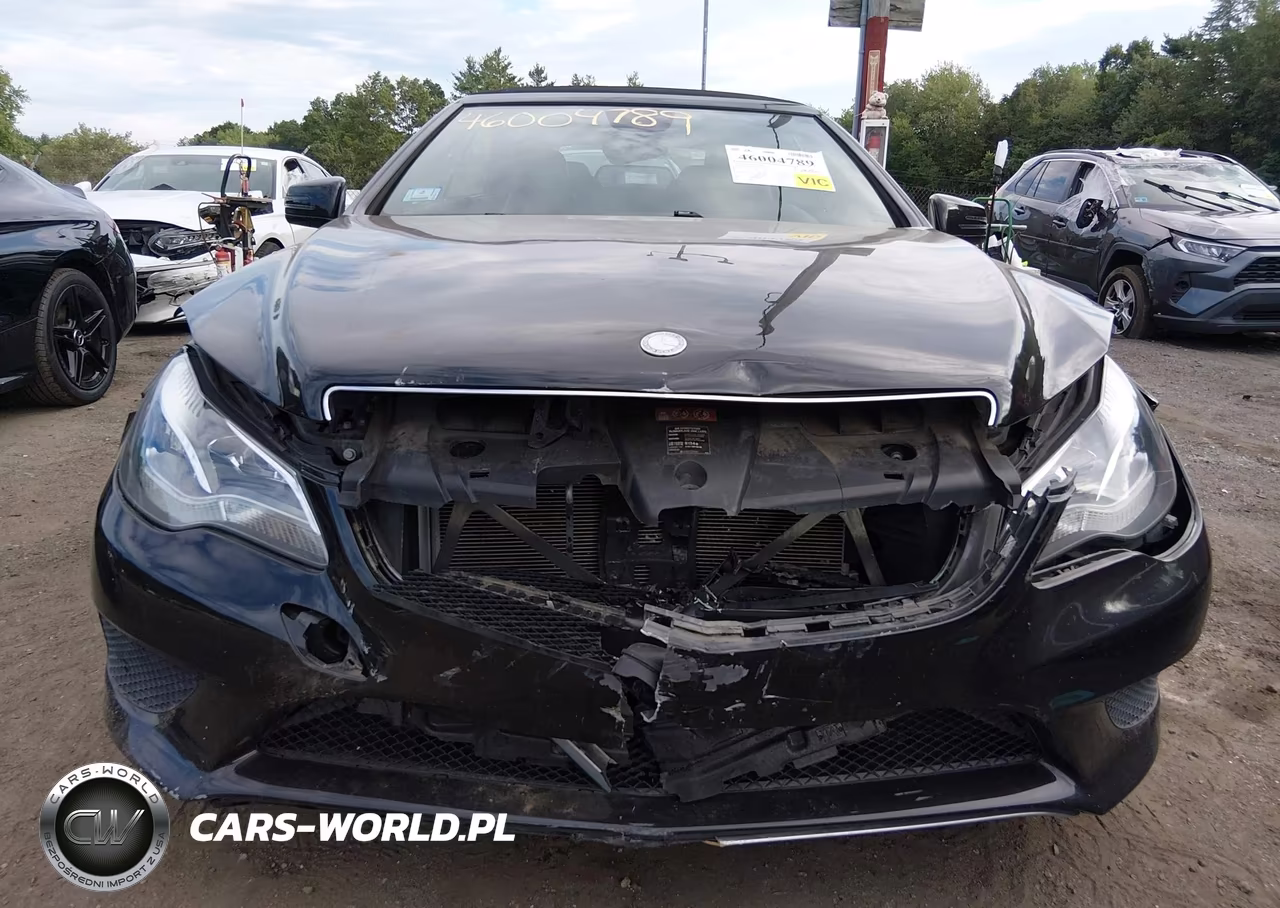 2014 Mercedes-Benz E 350 VIN:WDDKK5KF4EF256976 - 12
