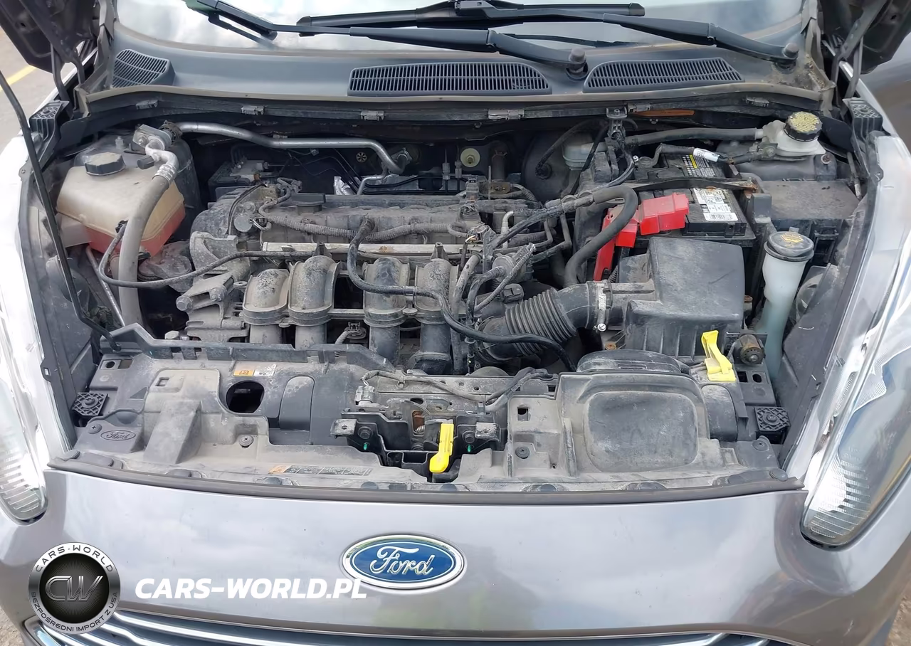 2014 Ford Fiesta Se VIN:3FADP4BJ9EM179661 - 10