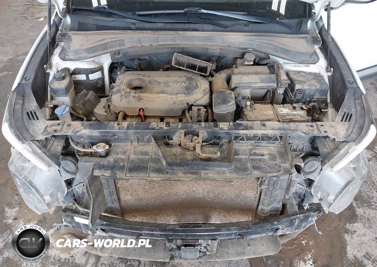 2020 Hyundai Santa Fe Sel VIN:5NMS3CAD5LH253385 - 10