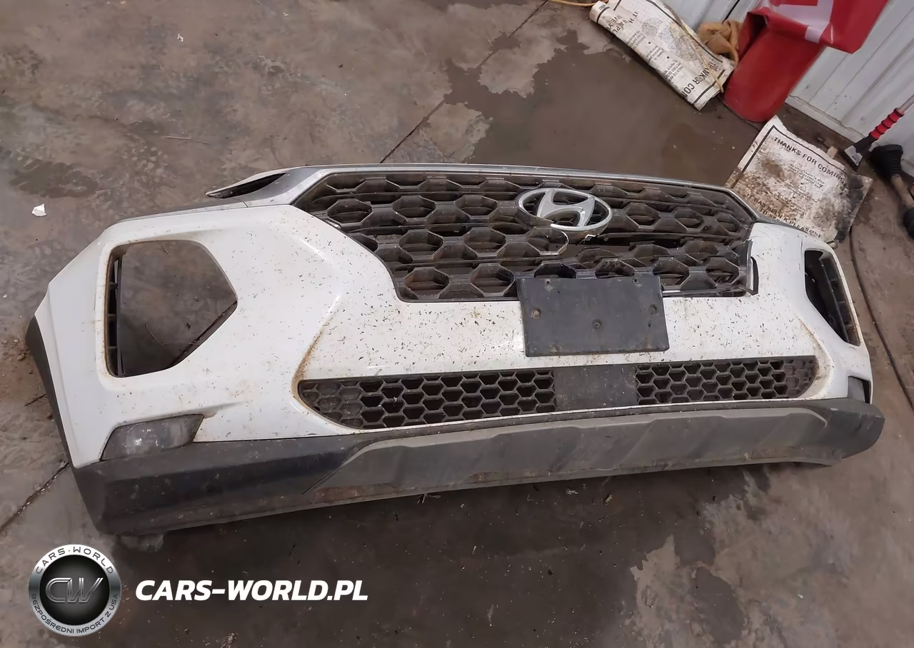 2020 Hyundai Santa Fe Sel VIN:5NMS3CAD5LH253385 - 12