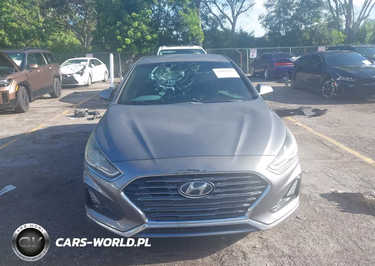 2019 Hyundai Sonata Se VIN:5NPE24AF7KH780062 - 12