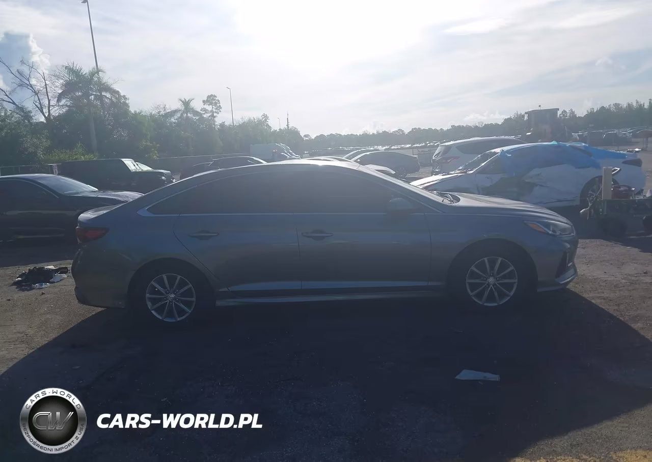 2019 Hyundai Sonata Se VIN:5NPE24AF7KH780062 - 13