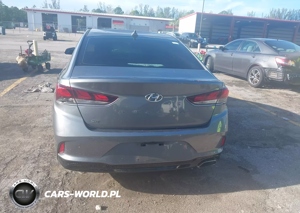 2019 Hyundai Sonata Se VIN:5NPE24AF7KH780062 - 16