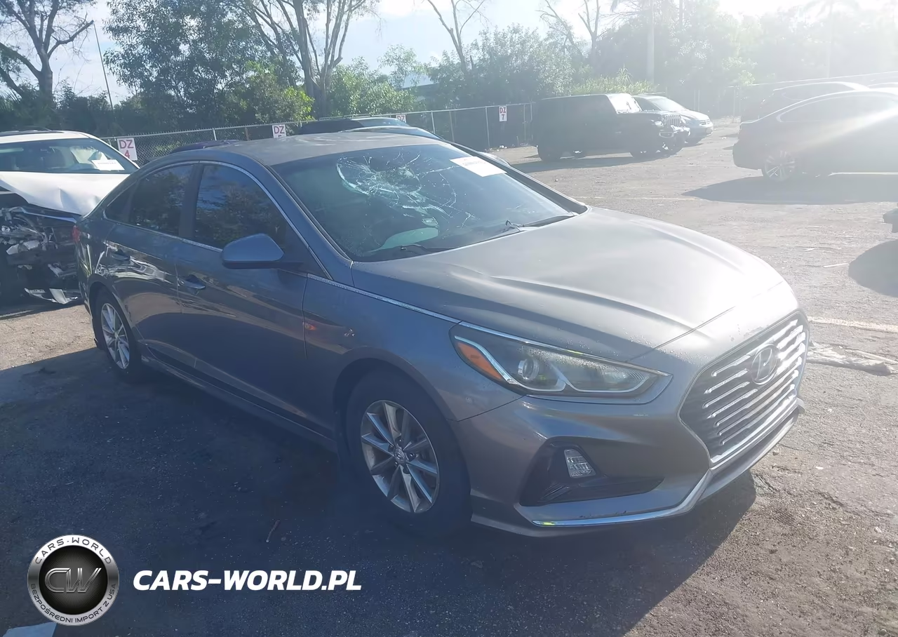 2019 Hyundai Sonata Se VIN:5NPE24AF7KH780062 - 17