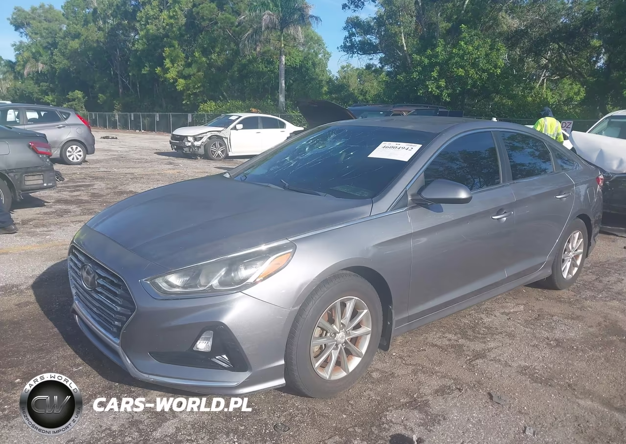 2019 Hyundai Sonata Se VIN:5NPE24AF7KH780062 - 18