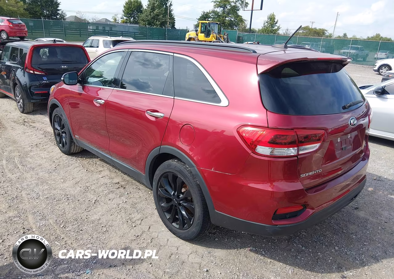 2019 Kia Sorento 3.3L S VIN:5XYPGDA52KG583194 - 3