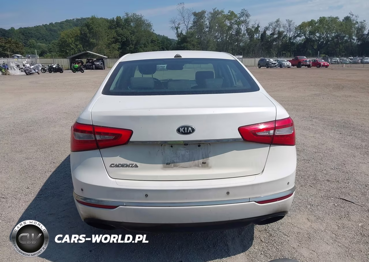 2014 Kia Cadenza Premium VIN:KNALN4D74E5144316 - 17