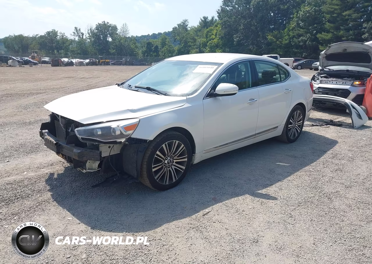 2014 Kia Cadenza Premium VIN:KNALN4D74E5144316 - 2