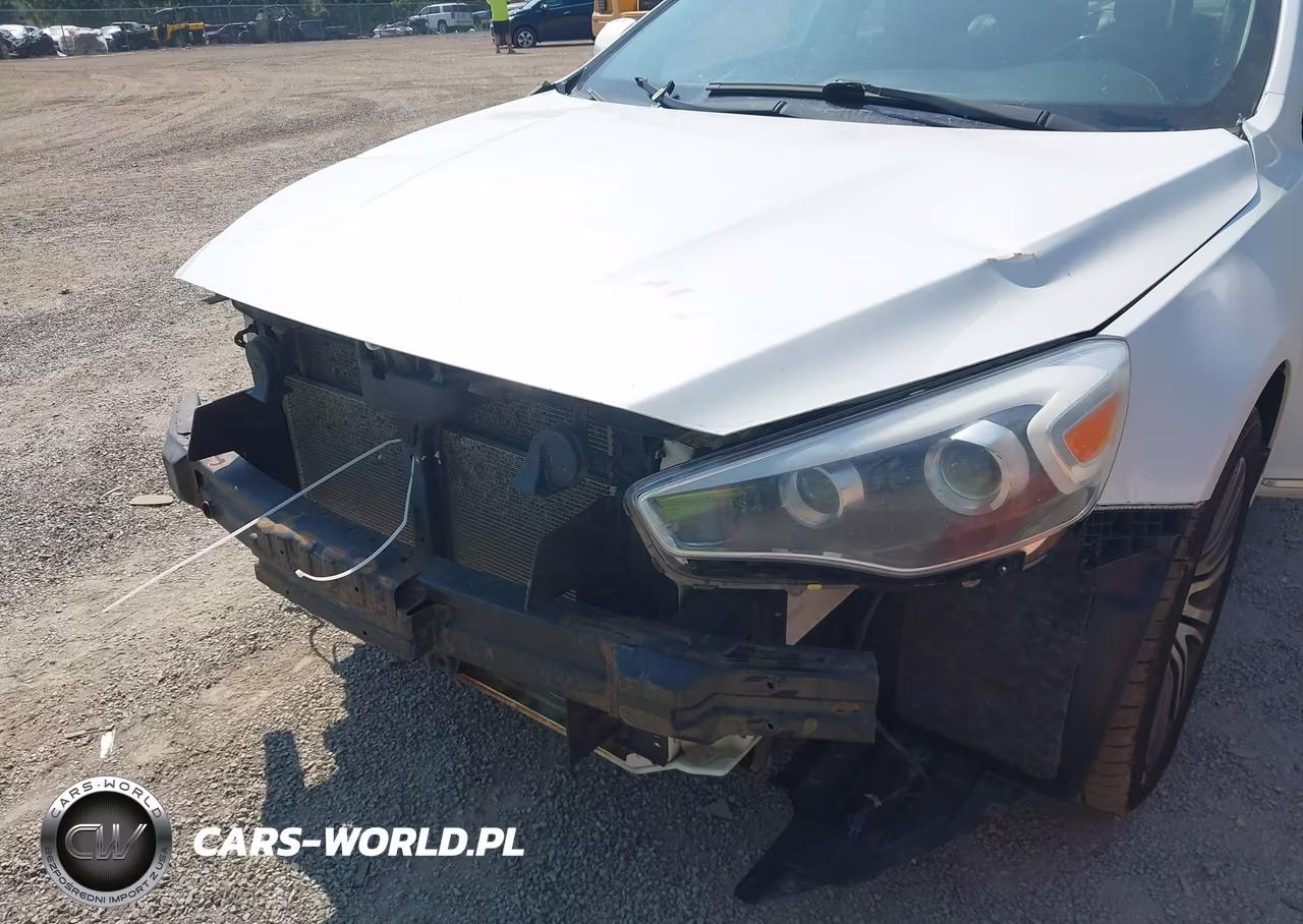 2014 Kia Cadenza Premium VIN:KNALN4D74E5144316 - 6