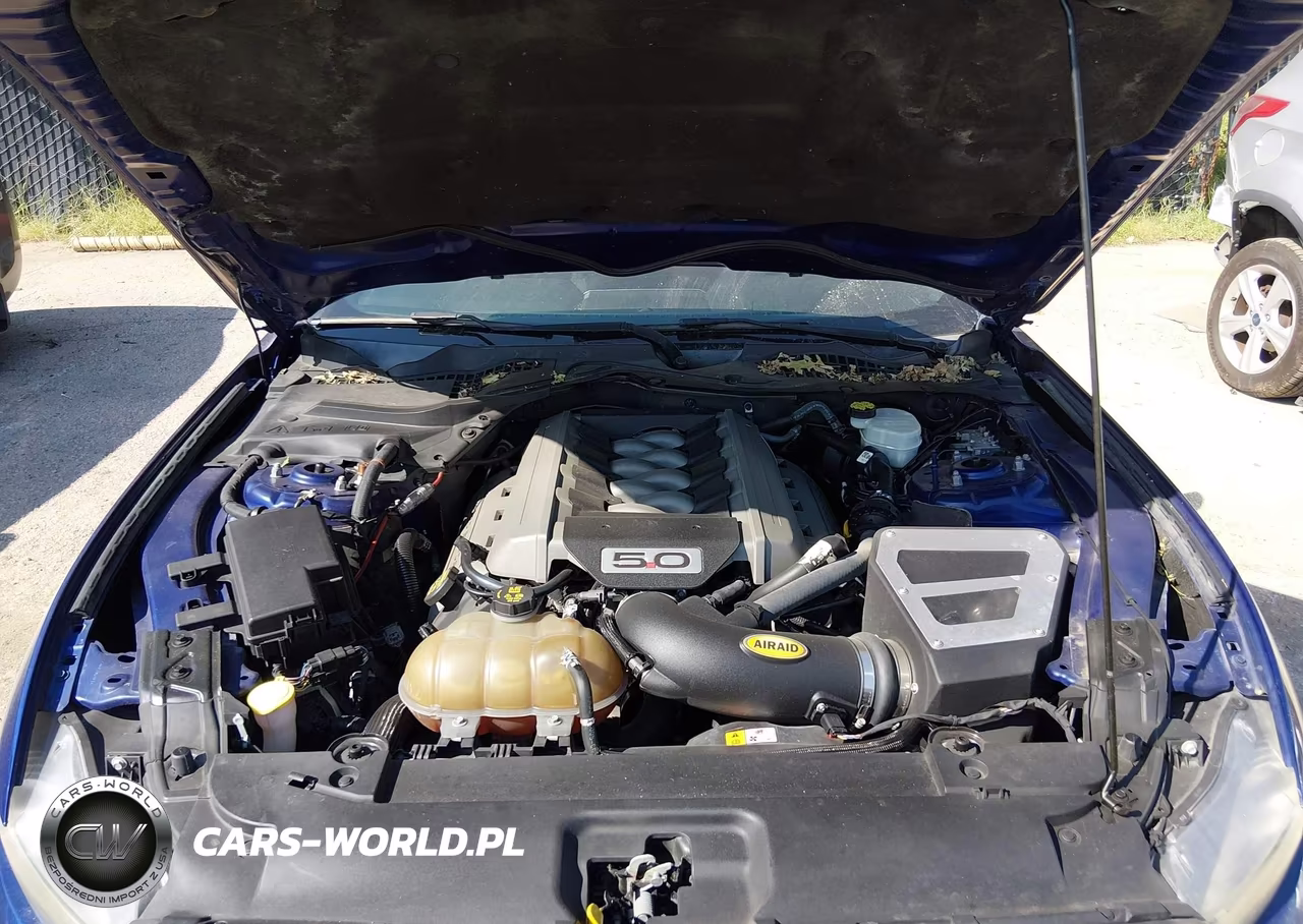 2015 Ford Mustang Gt VIN:1FA6P8CF4F5403520 - 10
