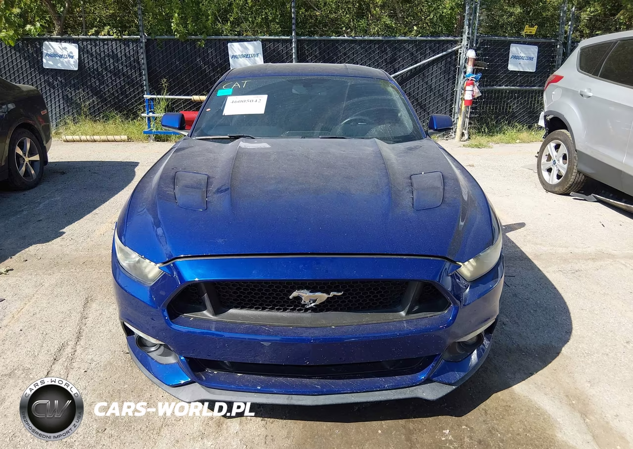 2015 Ford Mustang Gt VIN:1FA6P8CF4F5403520 - 12