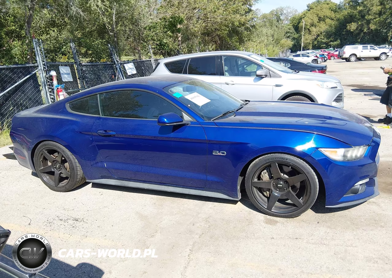 2015 Ford Mustang Gt VIN:1FA6P8CF4F5403520 - 13