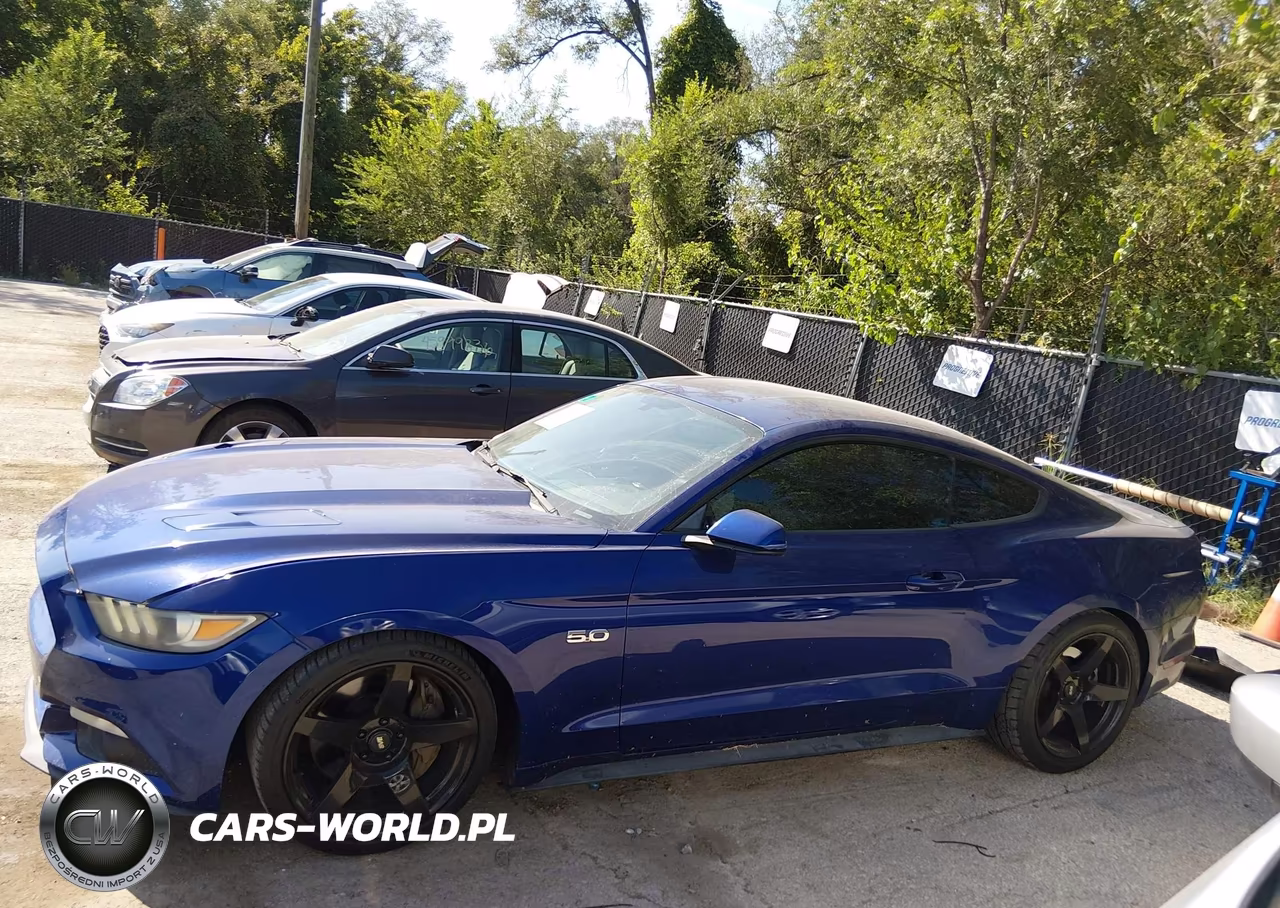2015 Ford Mustang Gt VIN:1FA6P8CF4F5403520 - 14