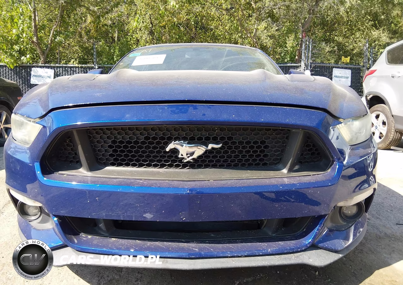 2015 Ford Mustang Gt VIN:1FA6P8CF4F5403520 - 17