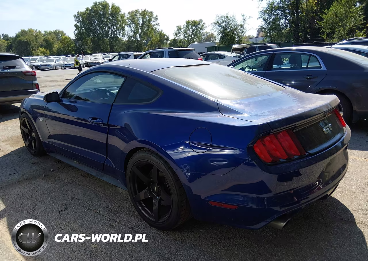 2015 Ford Mustang Gt VIN:1FA6P8CF4F5403520 - 3