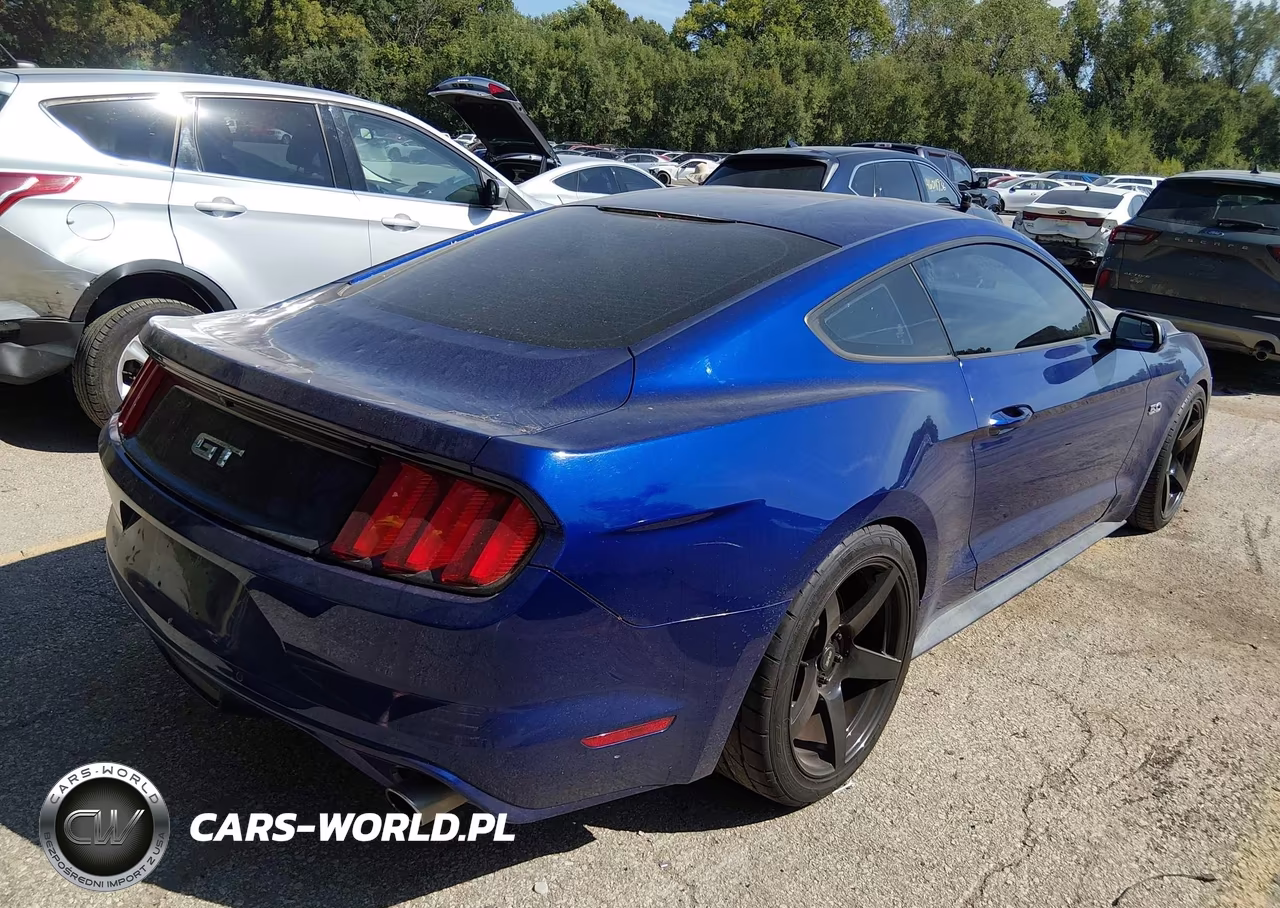 2015 Ford Mustang Gt VIN:1FA6P8CF4F5403520 - 4