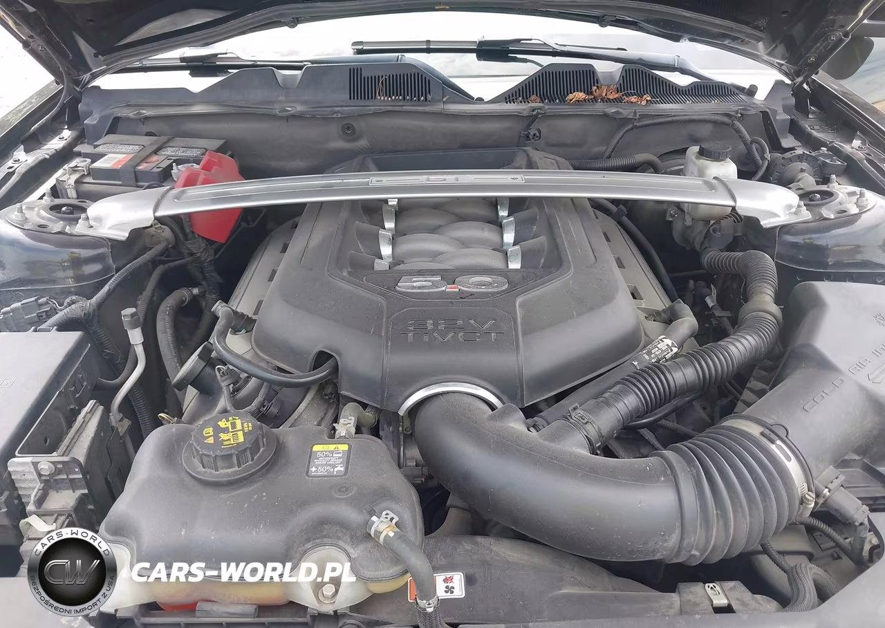 2011 Ford Mustang Gt Premium VIN:1ZVBP8CF5B5109995 - 10
