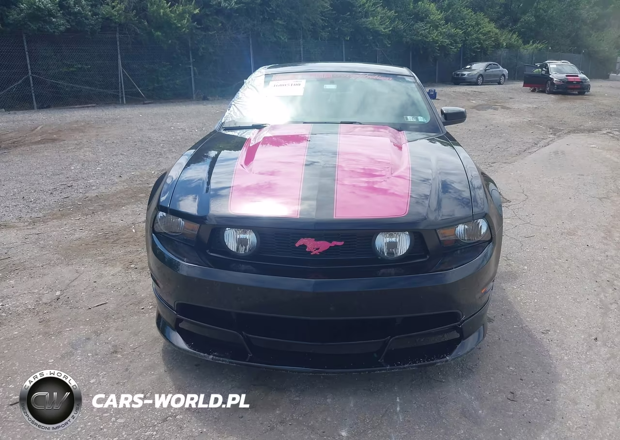 2011 Ford Mustang Gt Premium VIN:1ZVBP8CF5B5109995 - 12