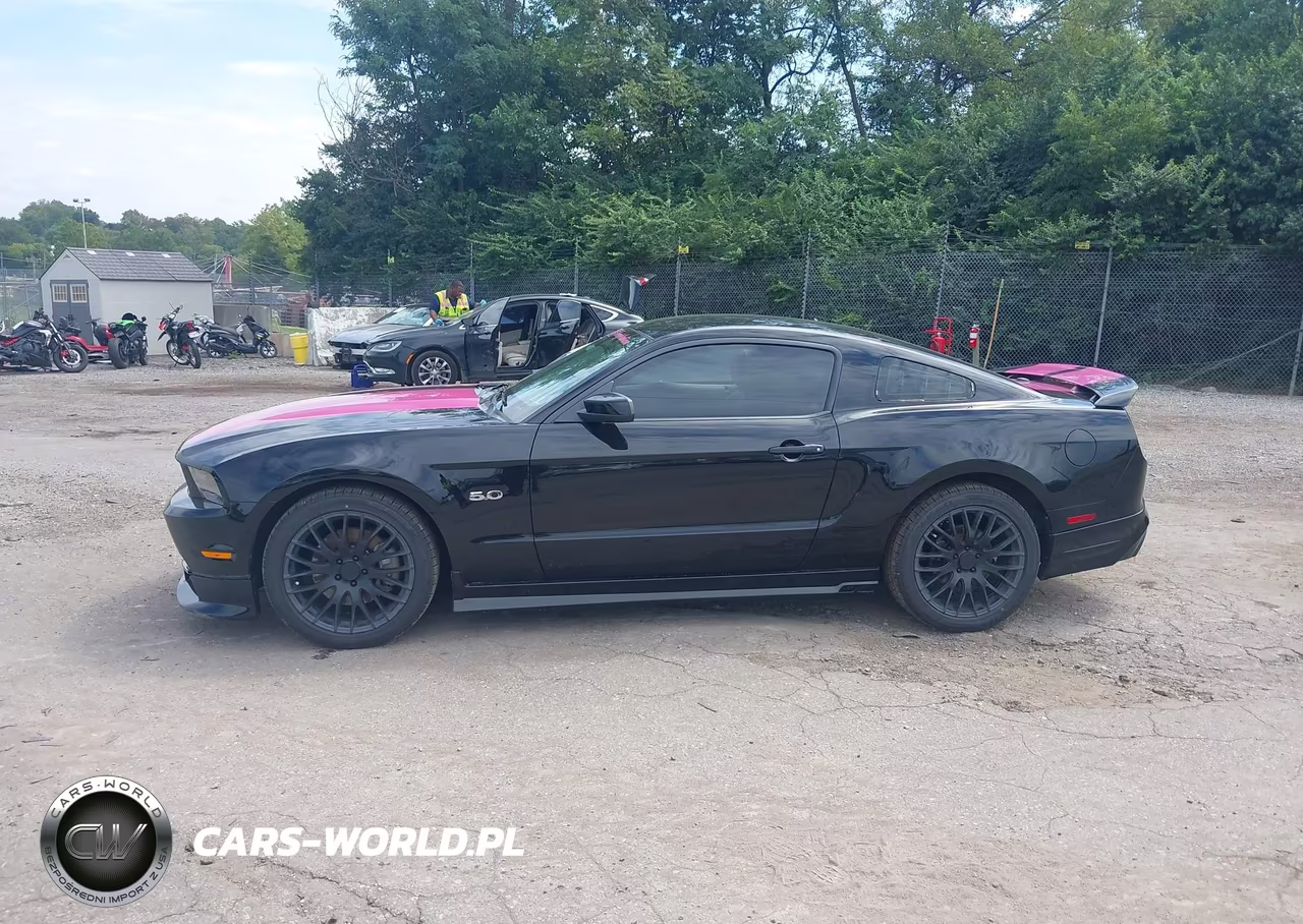 2011 Ford Mustang Gt Premium VIN:1ZVBP8CF5B5109995 - 14