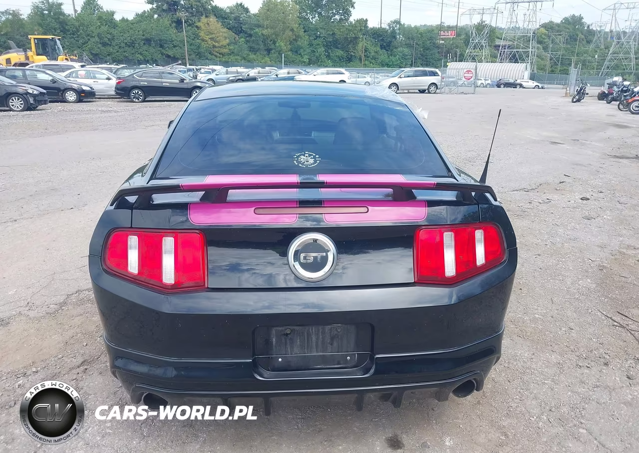 2011 Ford Mustang Gt Premium VIN:1ZVBP8CF5B5109995 - 16