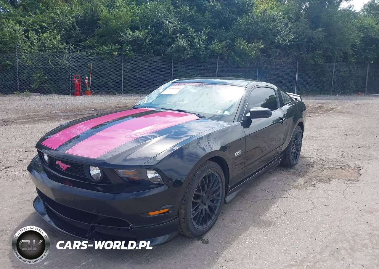 2011 Ford Mustang Gt Premium VIN:1ZVBP8CF5B5109995 - 2