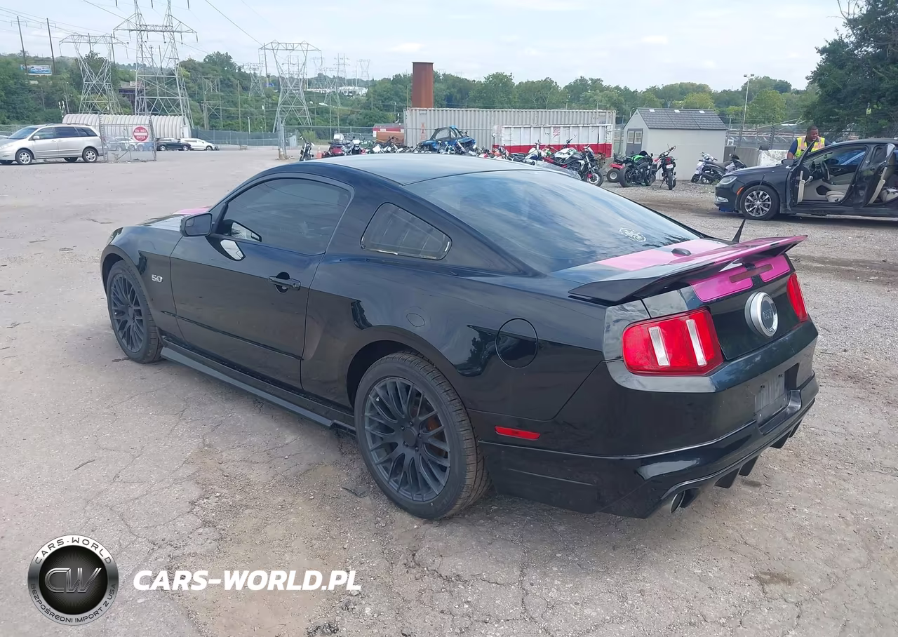 2011 Ford Mustang Gt Premium VIN:1ZVBP8CF5B5109995 - 3