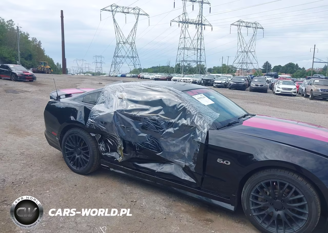 2011 Ford Mustang Gt Premium VIN:1ZVBP8CF5B5109995 - 6