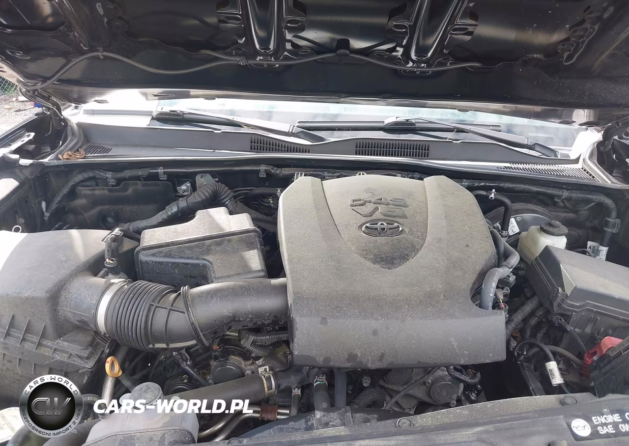 2019 Toyota Tacoma Limited VIN:3TMGZ5AN9KM258819 - 10