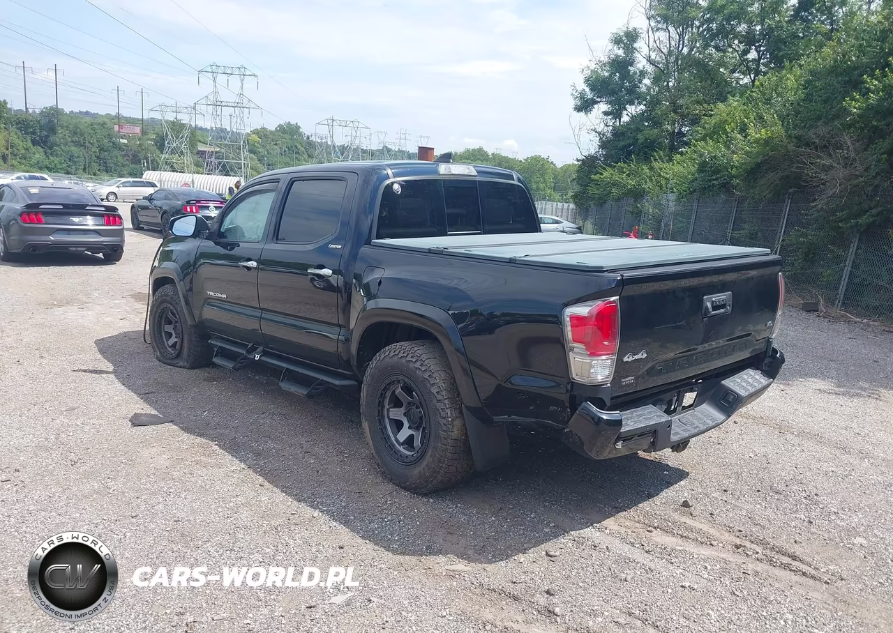 2019 Toyota Tacoma Limited VIN:3TMGZ5AN9KM258819 - 3