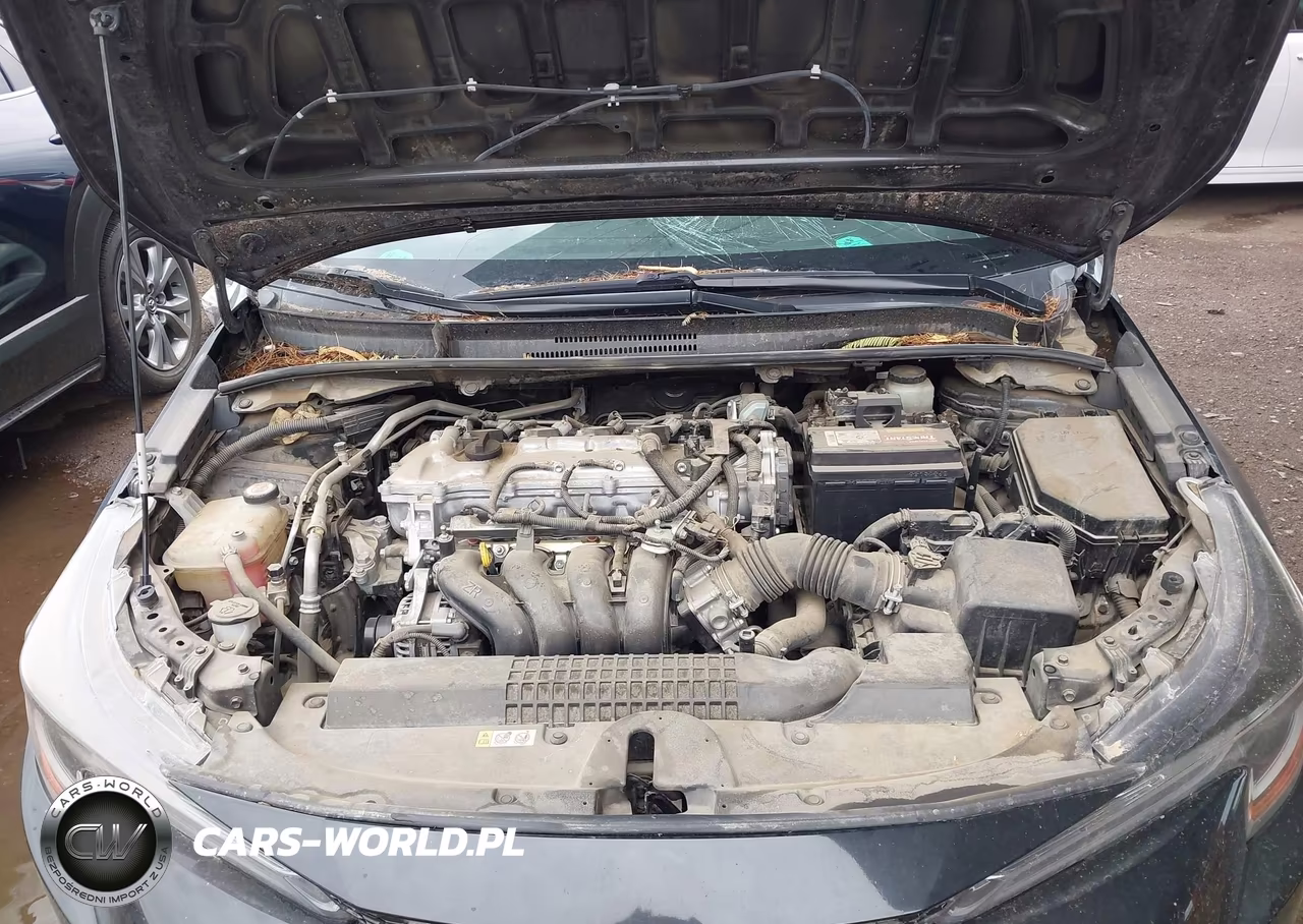 2020 Toyota Corolla Le VIN:JTDEPRAE4LJ104277 - 10