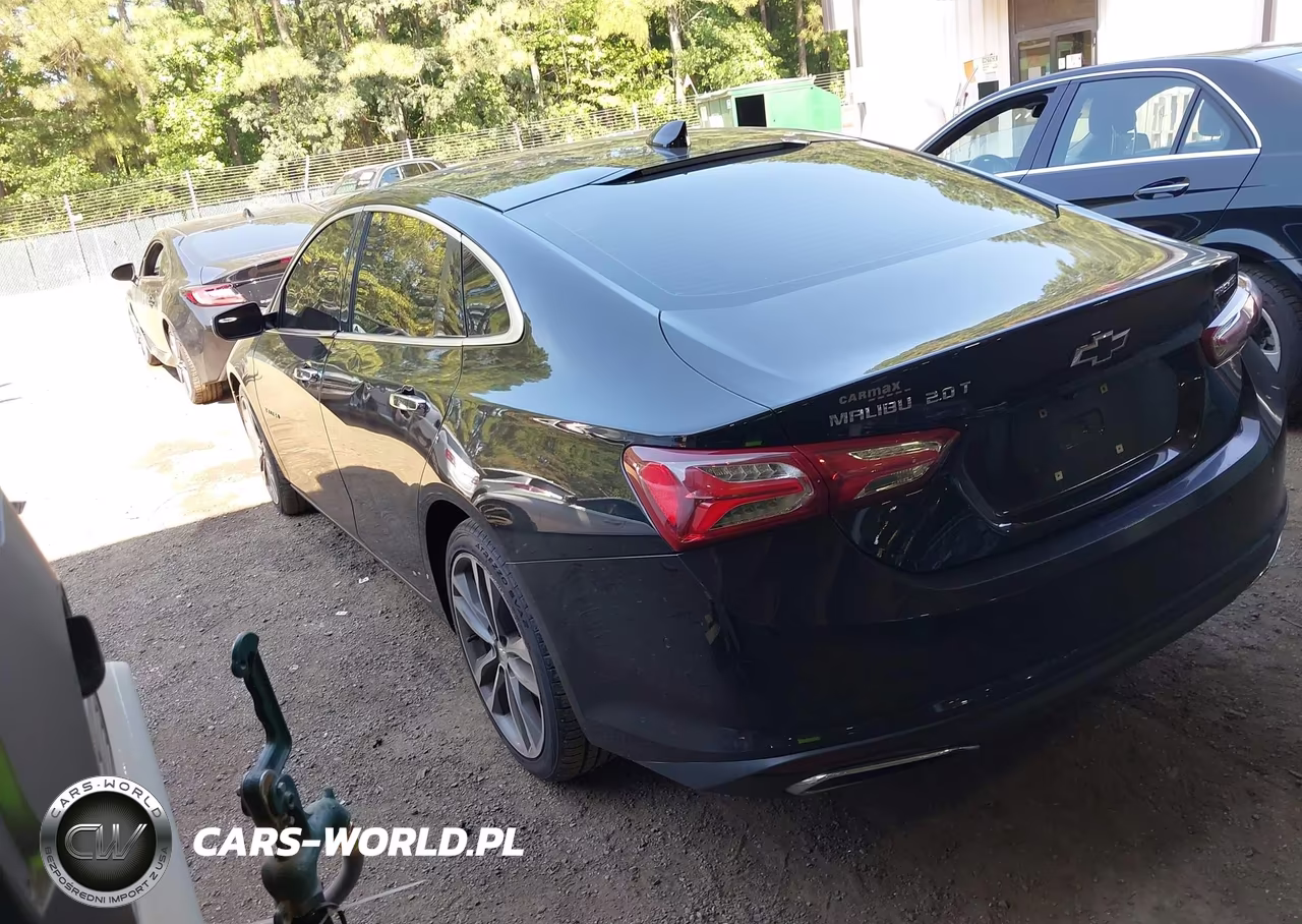 2019 Chevrolet Malibu Premier VIN:1G1ZE5SX3KF211122 - 3