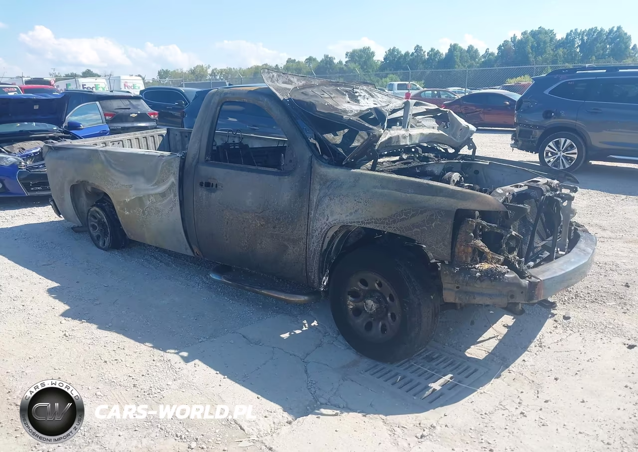 2008 Chevrolet Silverado 1500 Work Truck – zdjęcie 1 z 15