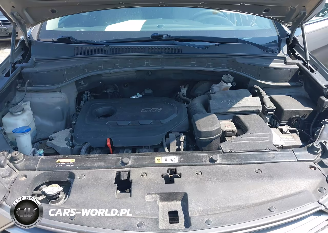 2017 Hyundai Santa Fe Sport 2.4L VIN:5NMZU3LB5HH005555 - 10