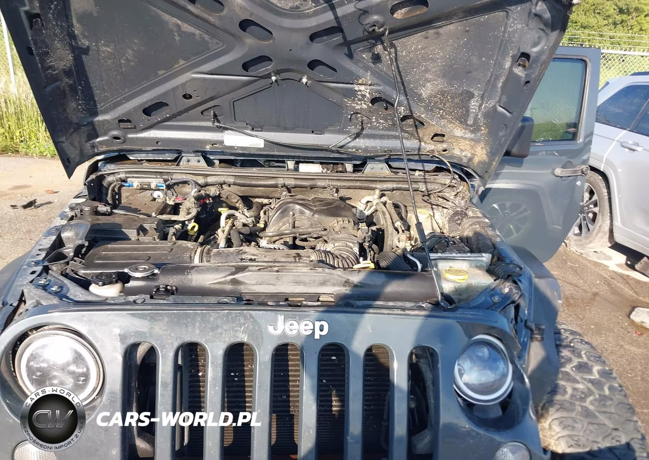 2016 Jeep Wrangler Unlimited Sport VIN:1C4BJWDG8GL290822 - 10