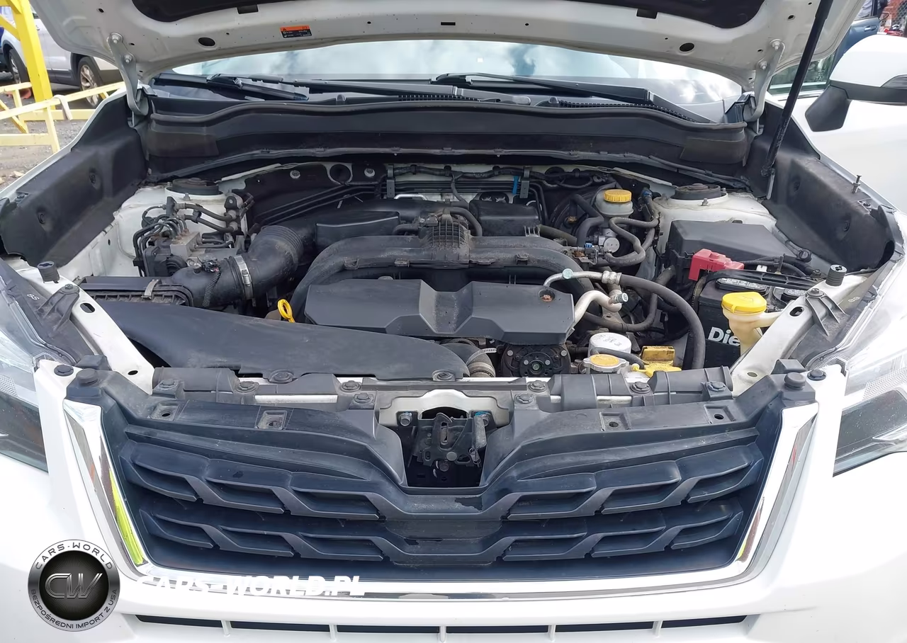 2018 Subaru Forester 2.5I Touring VIN:JF2SJAWC0JH547674 - 10