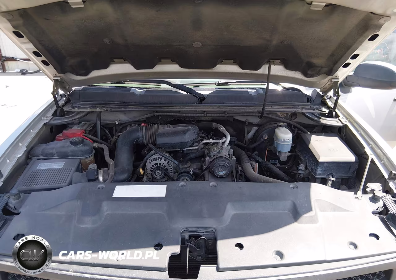 2010 Chevrolet Silverado 1500 Work Truck VIN:1GCSCPEXXAZ178753 - 10