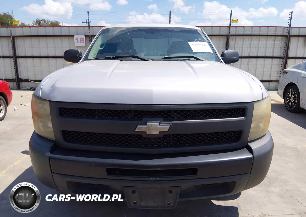 2010 Chevrolet Silverado 1500 Work Truck VIN:1GCSCPEXXAZ178753 - 12