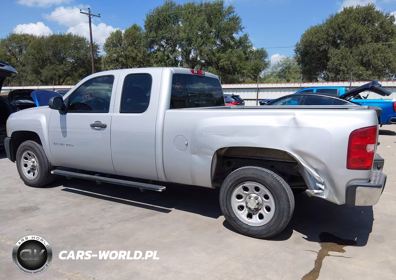 2010 Chevrolet Silverado 1500 Work Truck VIN:1GCSCPEXXAZ178753 - 14