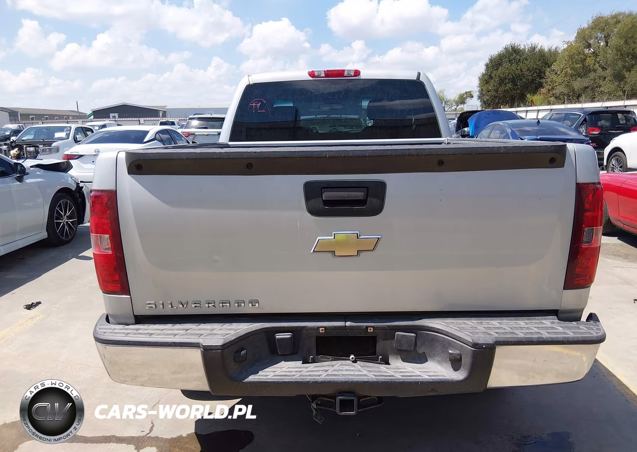 2010 Chevrolet Silverado 1500 Work Truck VIN:1GCSCPEXXAZ178753 - 16