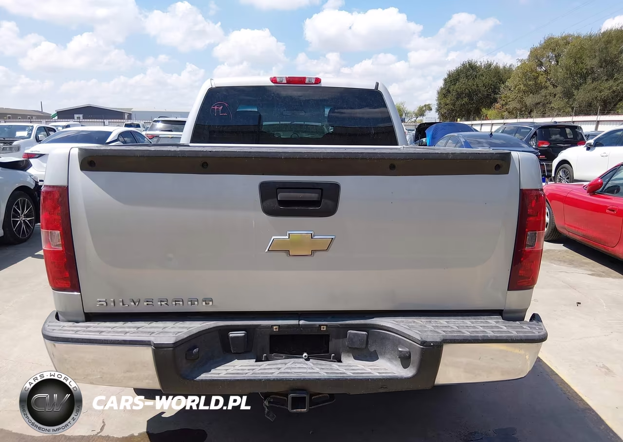 2010 Chevrolet Silverado 1500 Work Truck VIN:1GCSCPEXXAZ178753 - 17