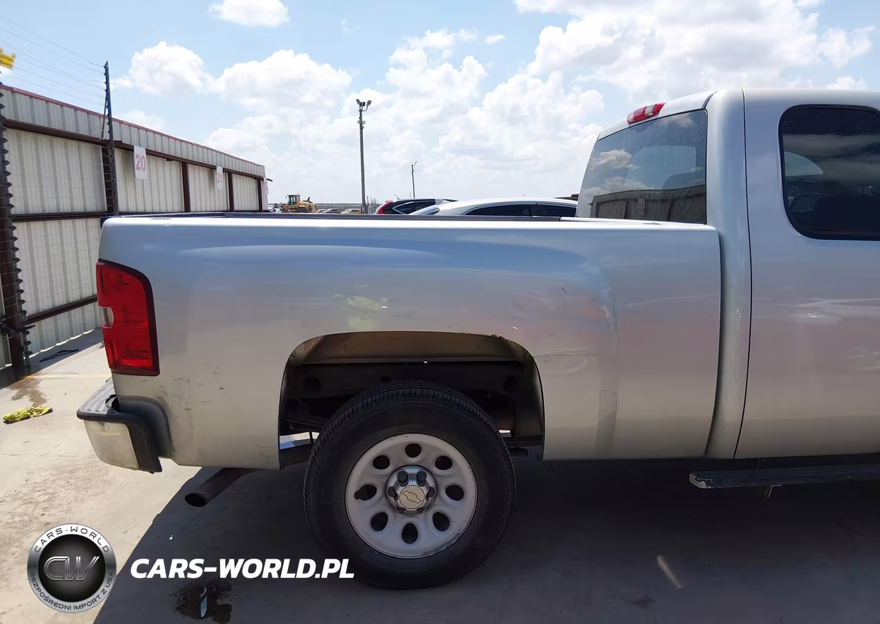 2010 Chevrolet Silverado 1500 Work Truck VIN:1GCSCPEXXAZ178753 - 18