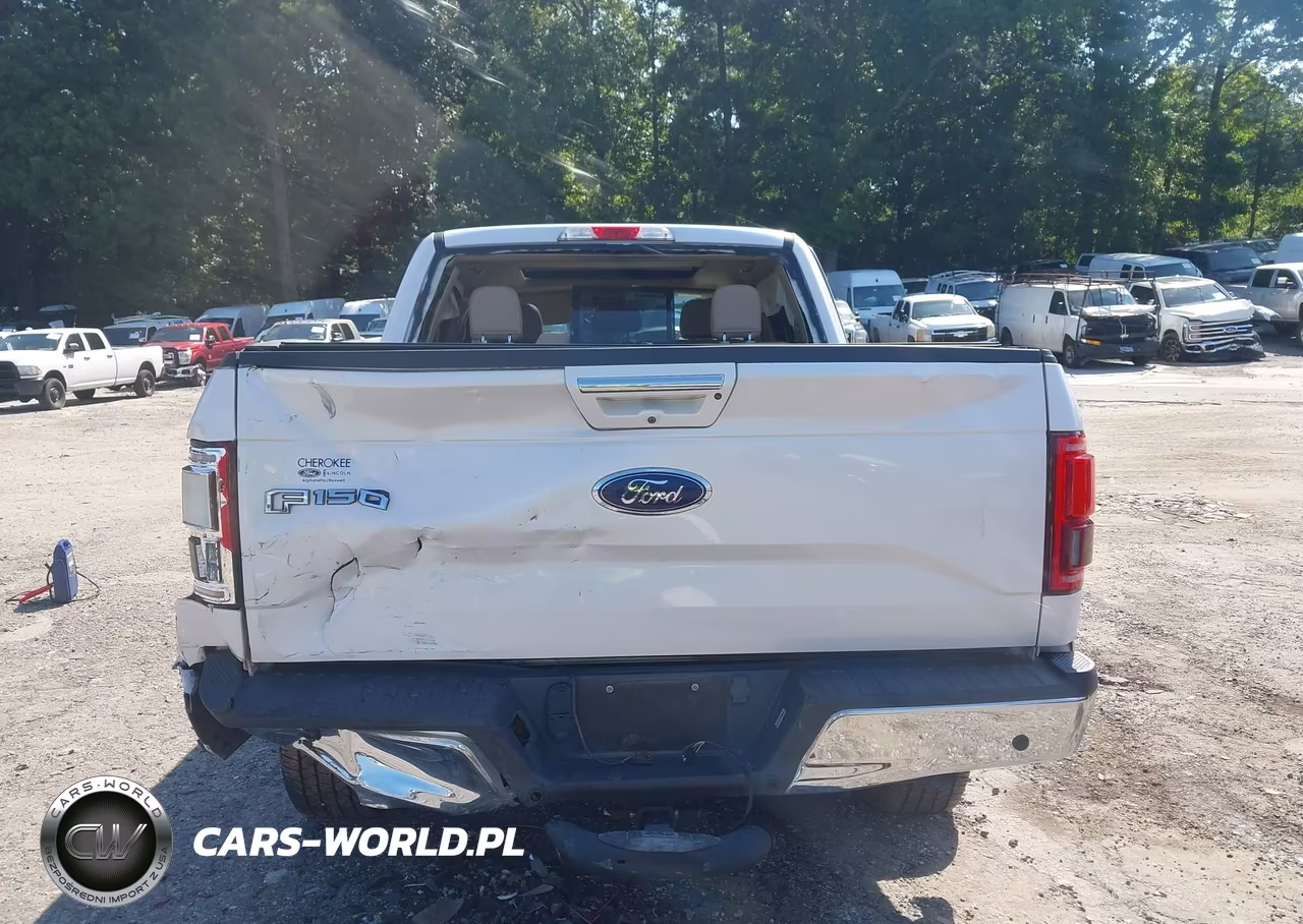 2015 Ford F-150 Lariat VIN:1FTEW1EG7FKD86395 - 17