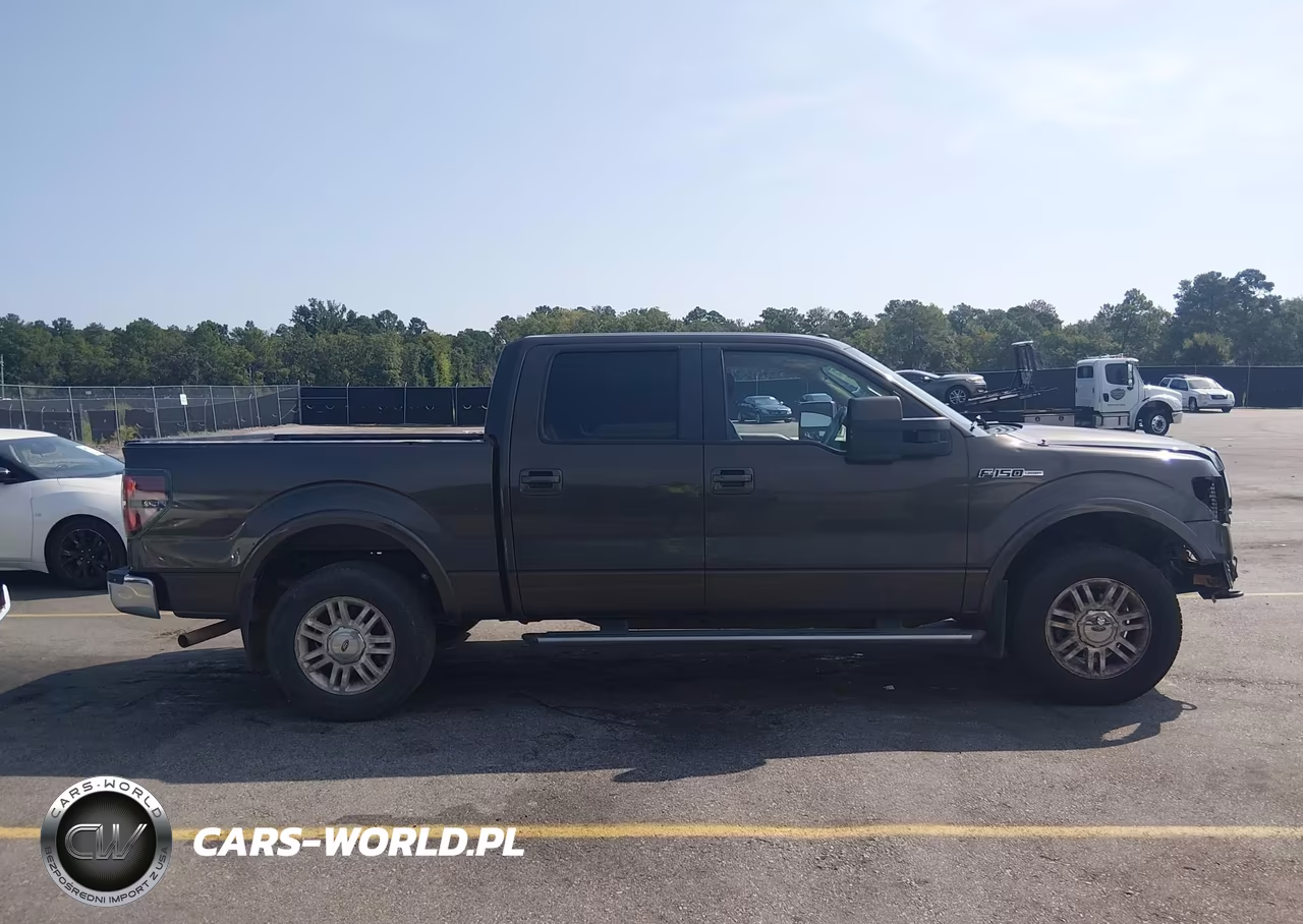 2009 Ford F-150 Fx4-King Ranch-Lariat-Platinum-Xl-Xlt VIN:1FTPW14V89KC36650 - 14
