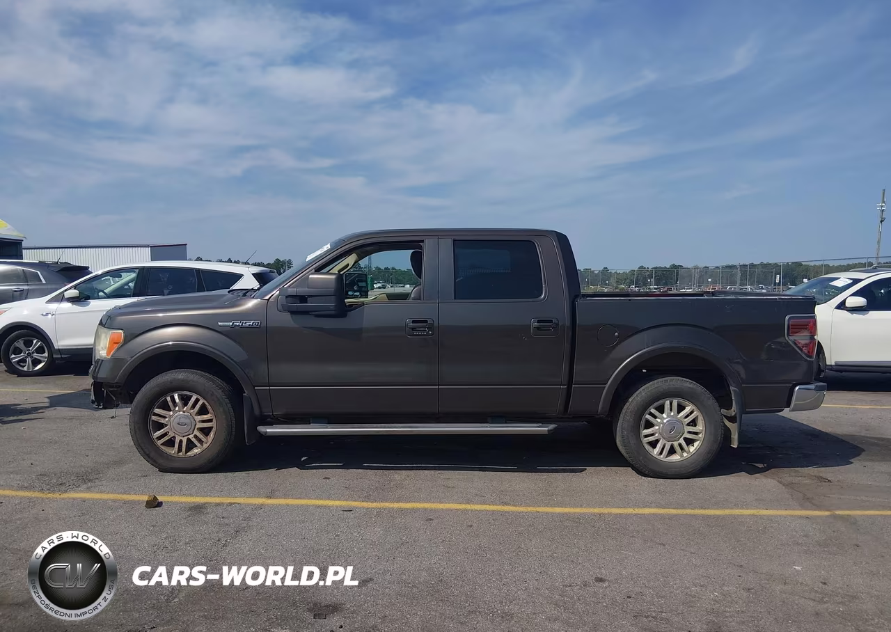 2009 Ford F-150 Fx4-King Ranch-Lariat-Platinum-Xl-Xlt VIN:1FTPW14V89KC36650 - 15