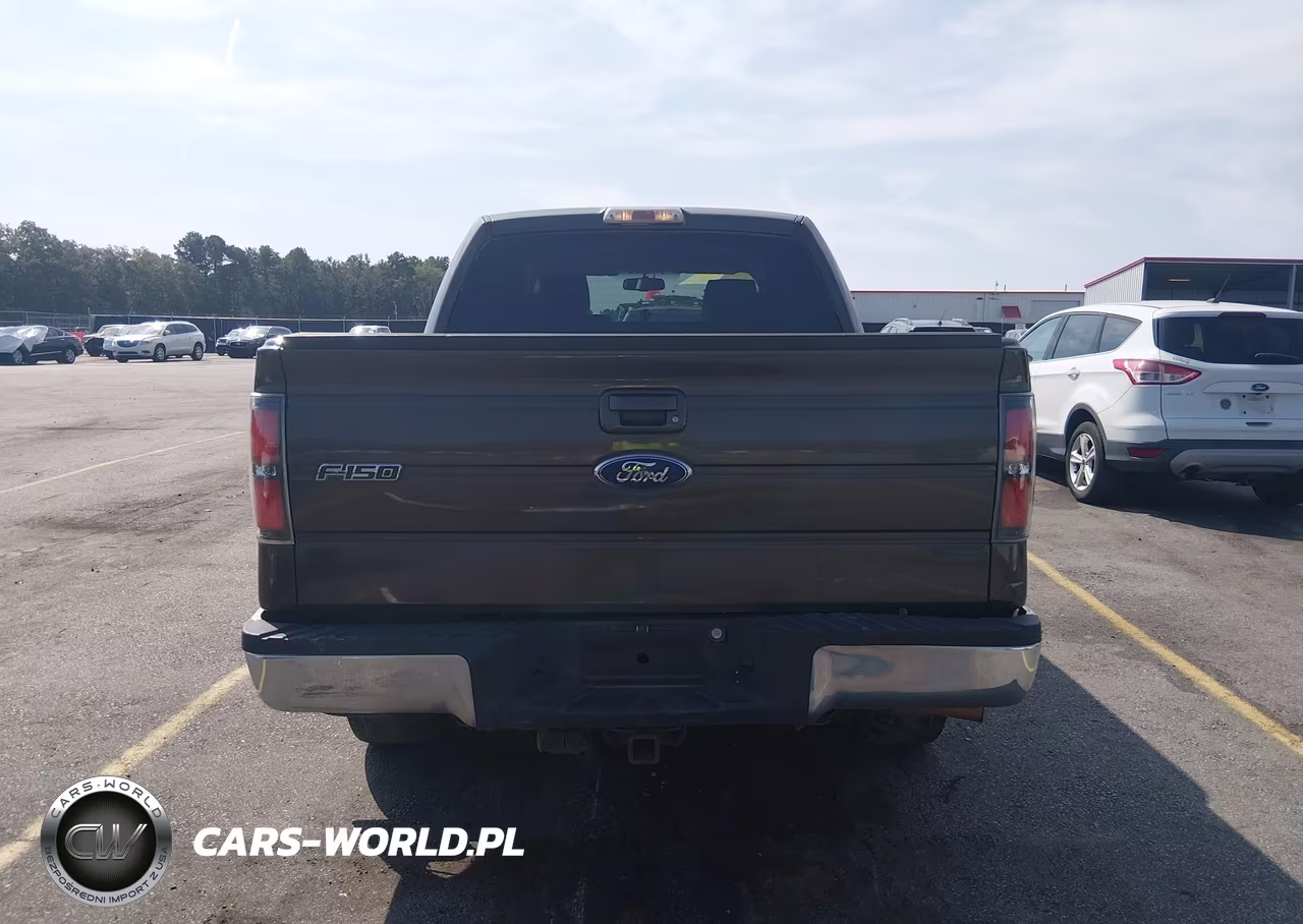 2009 Ford F-150 Fx4-King Ranch-Lariat-Platinum-Xl-Xlt VIN:1FTPW14V89KC36650 - 17