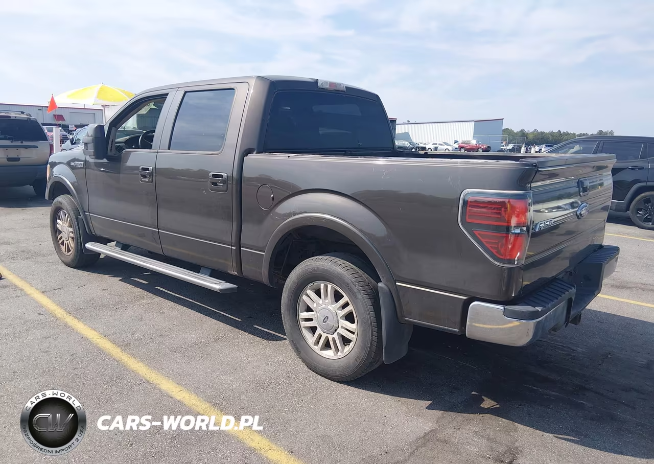2009 Ford F-150 Fx4-King Ranch-Lariat-Platinum-Xl-Xlt VIN:1FTPW14V89KC36650 - 3