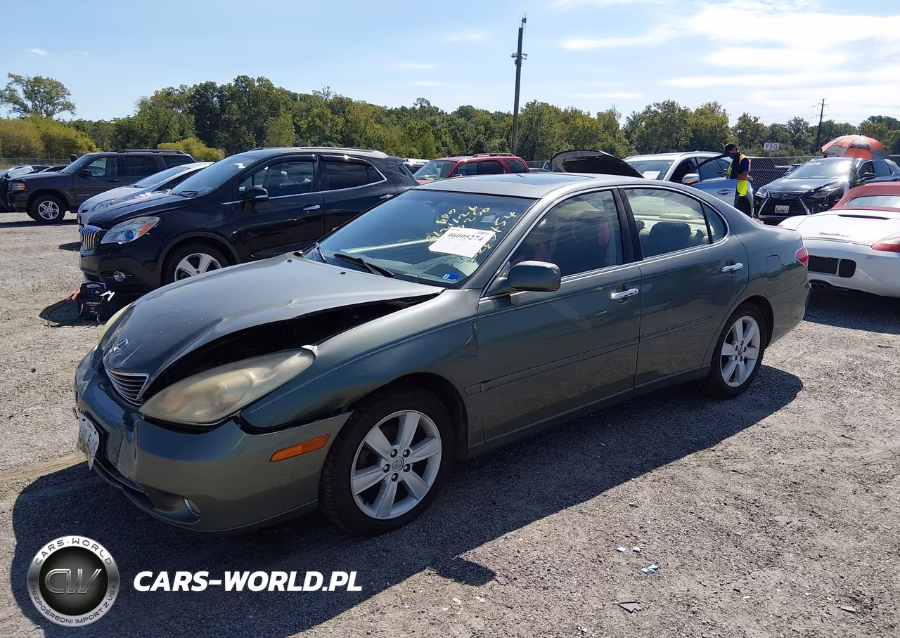 2005 Lexus Es 330 VIN:JTHBA30G355113454 - 2